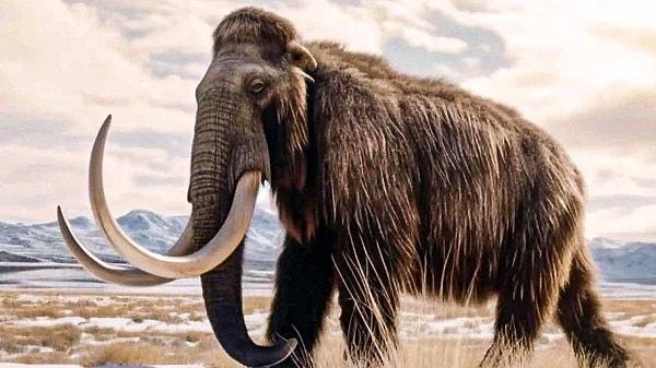 Şirketin yaptığı açıklamada mamutların en yakın yaşayan akrabaları olan Asya fillerinden alınan kök hücrelerin embriyonik bir şekilde ilk kez yeniden programlandığı bildirildi.