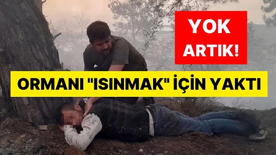 Böylesi Ne görüldü Ne de Duyuldu: Ormanı "Isınmak" İçin Yaktı