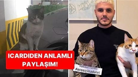 Galatasaray'ın Yıldız Futbolcusu Mauro Icardi, Davası Bugün Görülen Kedi Eros İçin Adalet Çağrısında Bulundu