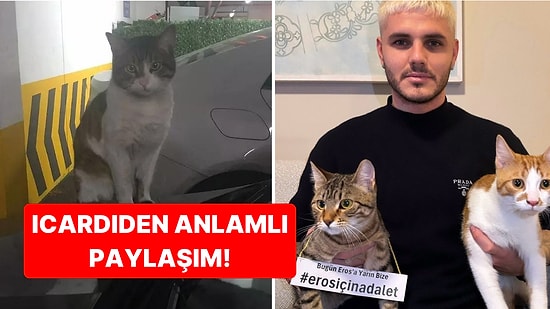 Galatasaray'ın Yıldız Futbolcusu Mauro Icardi, Davası Bugün Görülen Kedi Eros İçin Adalet Çağrısında Bulundu