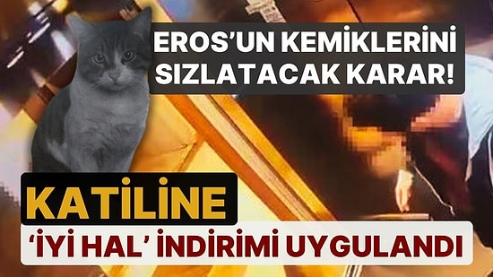Kedi Eros'u Katleden İbrahim Keloğlan'ın Cezası Belli Oldu