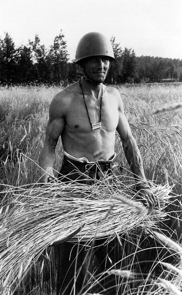 5. Çiftçilerin buğday hasadına yardım eden bir Fin askeri (Finlandiya 1941)