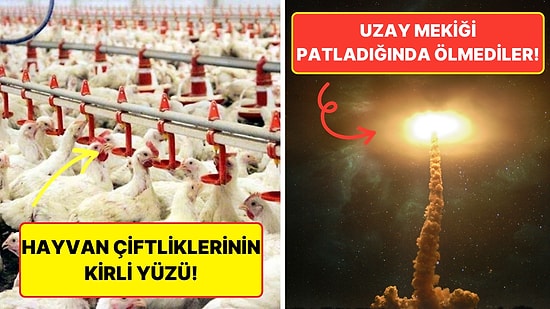 Bugüne Kadar Duyacağınız En Üzücü Gerçekler Ağlamaktan Gözlerinizi Kan Çanağına Dönüştürecek