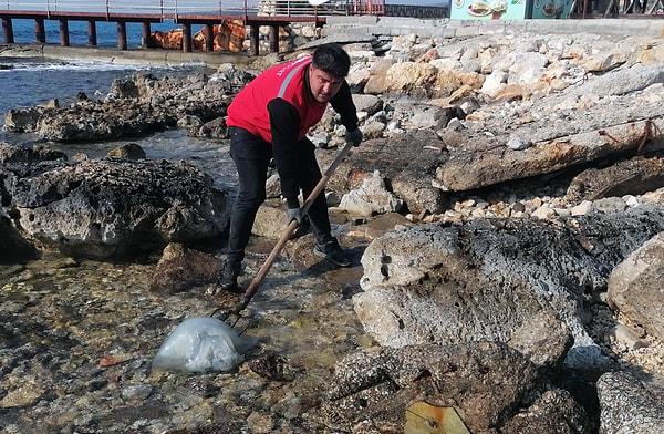 İhbarla belediye ekipleri ölü denizanalarını toplamak için çalışma başlattı.