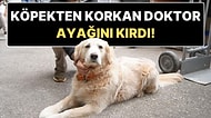 Köpekten Korkup Düşen Doktor Ayağını Kırdı: Mahkeme Köpeğin Sahibine 700 Bin TL Ceza Verdi