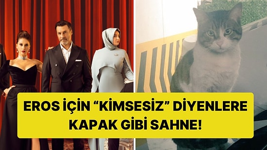 Kızılcık Şerbeti'nde Öldürülen Kedi Eros İçin Farkındalık Yaratan Sahne!