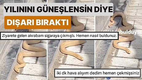 Fıkra Gibi Ülke! İstanbul'da Bir Telefoncu Evcil Yılanını Güneşlenmesi İçin Dükkanının Önüne Çıkardı