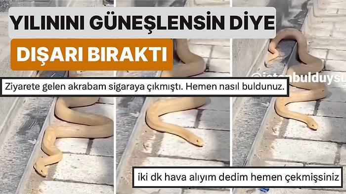 Fıkra Gibi Ülke! İstanbul'da Bir Telefoncu Evcil Yılanını Güneşlenmesi İçin Dükkanının Önüne Çıkardı