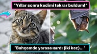 Başlarına Gelen En İmkansız Olaylarla Hepimizi Şaşırtan 15 Kişinin İlginç Hikayesi
