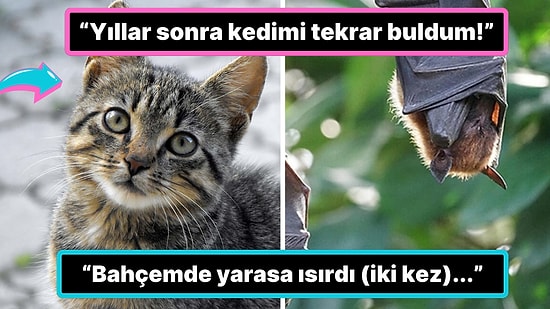 Başlarına Gelen En İmkansız Olaylarla Hepimizi Şaşırtan 15 Kişinin İlginç Hikayesi