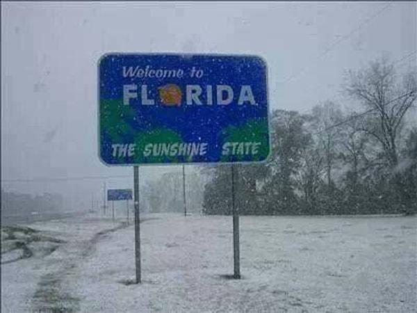 5. "Günışığı eyaleti Florida'ya hoş geldiniz."