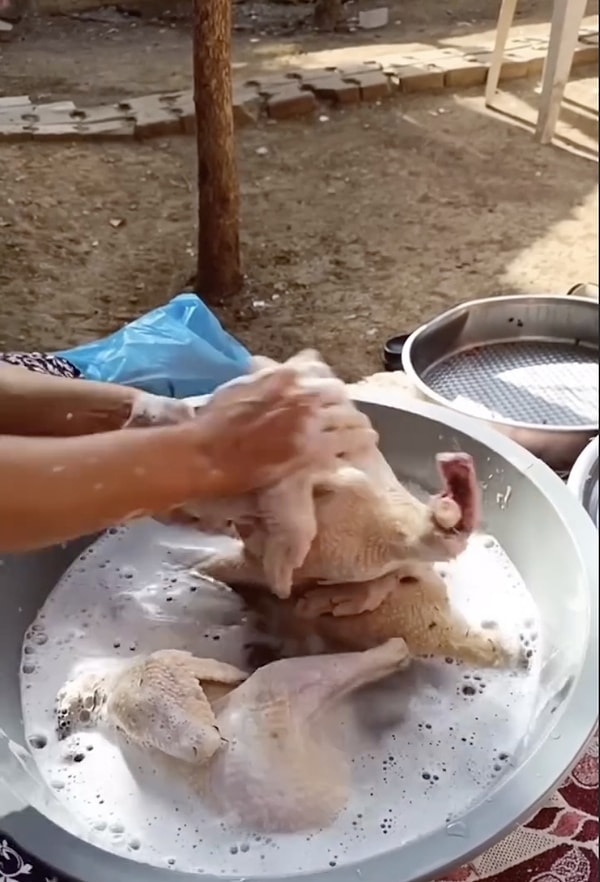 1. Tavuğu deterjanla foşur foşur yıkıyor. Vallahi aklımı yitircem.