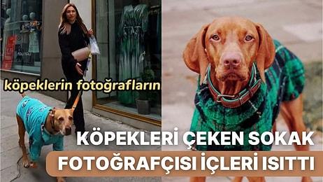 Sokak Fotoğrafçılığını Patili Dostlarımızdan Köpeklerle İcra Eden Adamın Kalpleri Eriten Paylaşımları