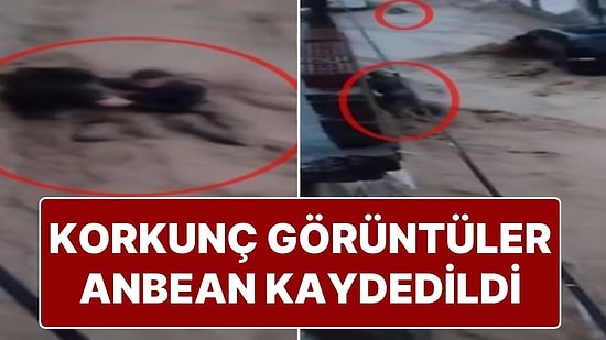 Cizre'de Şiddetli Yağış Hayatı Felç Etti: Bir Kişi Selden Kurtuldu, Başkasını Kurtarırken Yine Sele Kapıldı