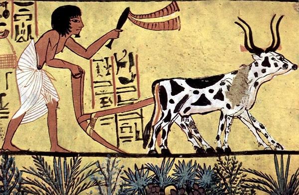 4. 2500 yıl önce yaşasaydın ne iş yapardın?