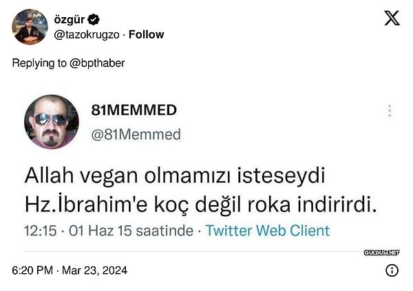 "Seçilirsem Ankara'da büyük bir vegan festivali düzenleyeceğim" vaadine gelen yorumlar şöyleydi: