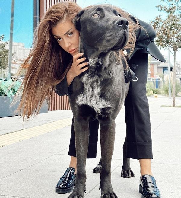 Beylikdüzü Marmara Mahallesi'ndeki lüks bir sitede yaşayan sosyal medya fenomeni, alabay cinsi köpeği Drogo ile yürüyüşe çıktı.