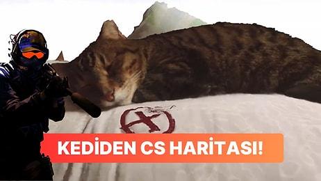 Uyuyan Gerçek Bir Kediyle Oluşturulmuş Counter-Strike Haritasını Görmelisiniz