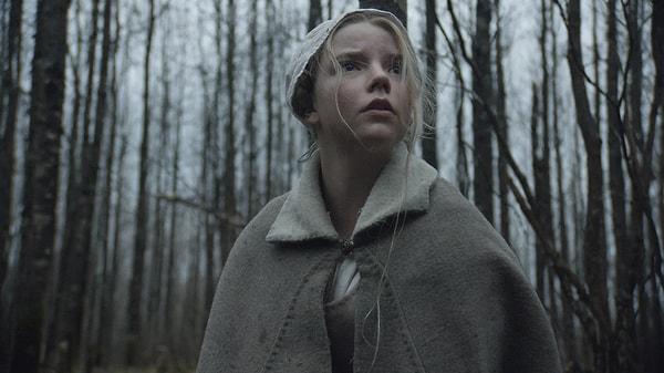 13. The Witch (2015)