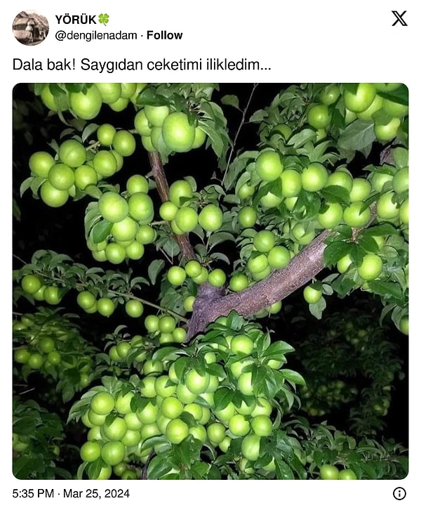 Zamanı geldi mi?