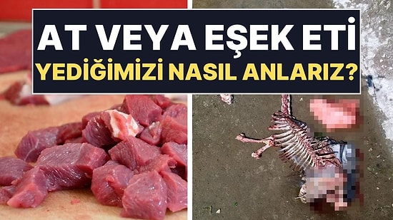 Kasaplar Odası Başkanı Püf Noktalarını Anlattı: At ve Eşek Etini Nasıl Ayırt Edeceğiz?