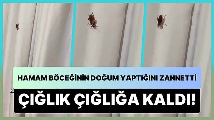 Doğum Yaptığını Zannettiği Hamam Böceğini Kaydetmek İsterken Çığlık Çığlığa Kalan Kadın