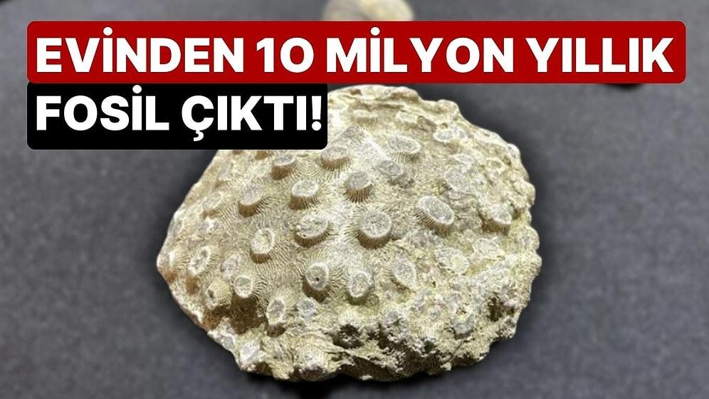 Kayseri'de Tarihi Eser Baskını: Evinden 10 Milyon Yıllık Fosil Çıktı!