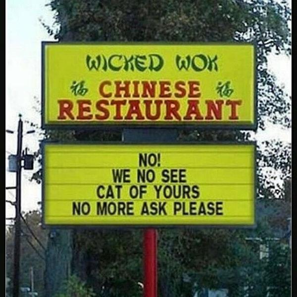 8. "Çin restoranı. Hayır kedinizi görmedik. Lütfen sormayı bırakın."