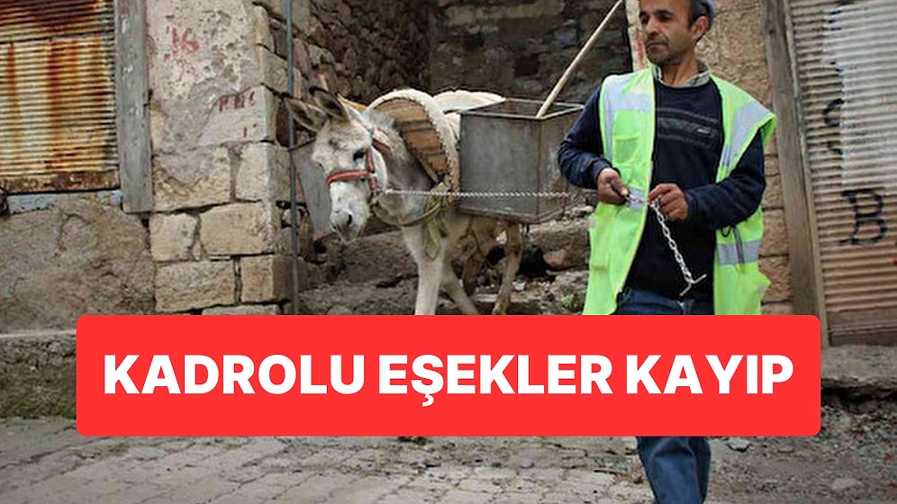 Belediyenin Kadrolu Kayıp Eşekleri İki Başkan Adayının Arasını Açtı