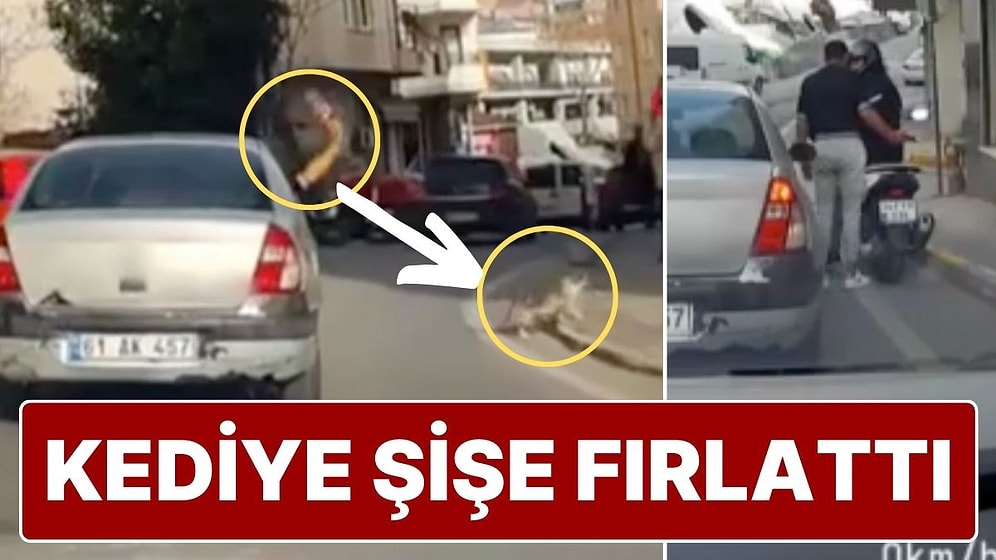 Seyir Halindeki Araçtan Kedinin Üzerine Şişe Attı, Uyaranların Üzerine Yürüdü!