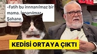 Celal Şengör'e Benzeyen Kediye Gelen Yorumlar Gününüzü Şenlendirecek