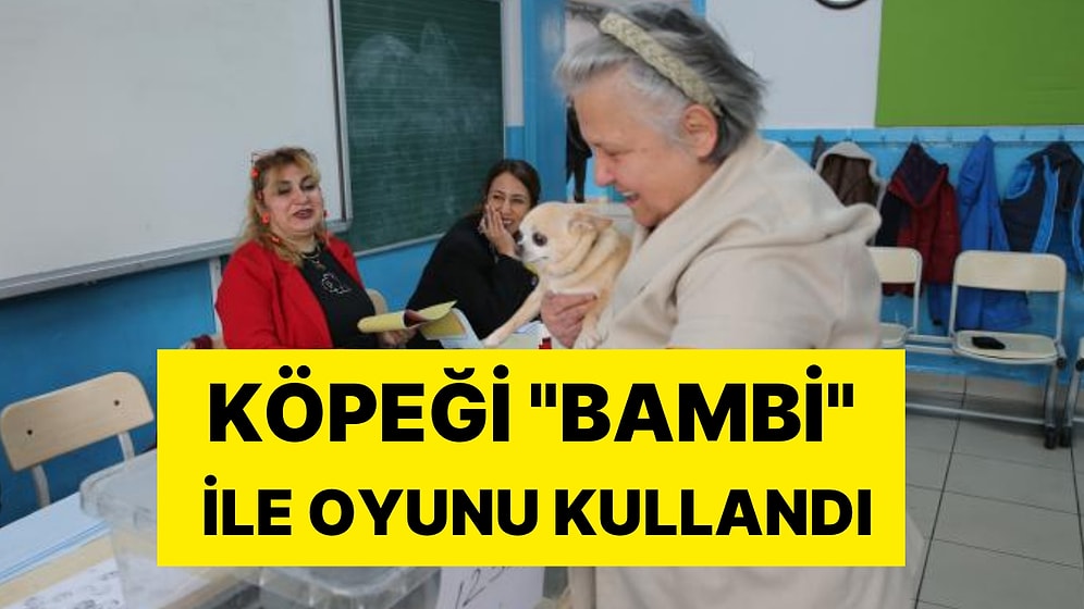 Sandık Başında Renkli Anlar: Oy Kullanmaya Köpeği ile Gitti