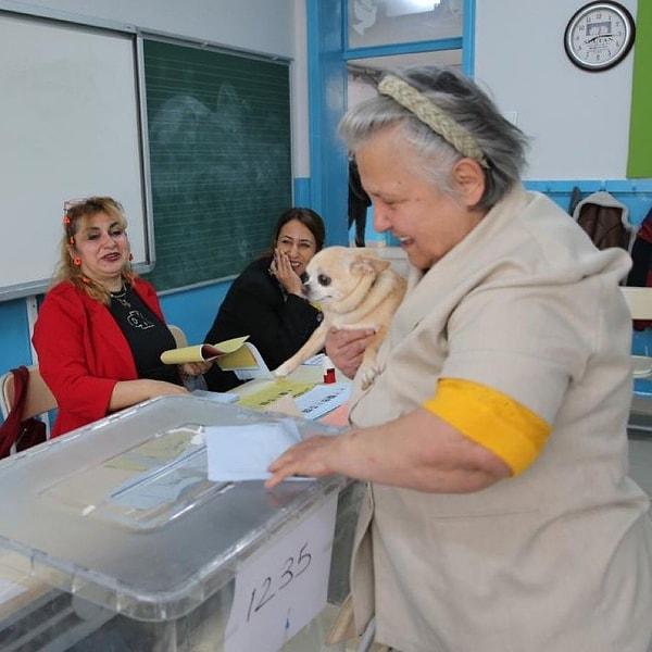 Edirne'de ise köpeği Bambi ile oy vermeye giden vatandaş her seçimde bunu tekrarladıklarını söyledi.