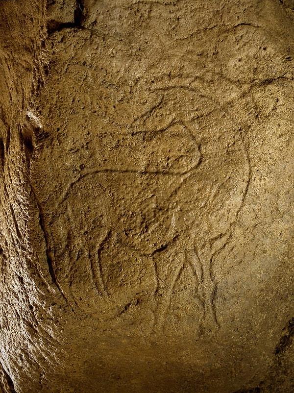 4. Fransa'daki Pair-non-Pair mağarasında yaklaşık 37.000-32.000 yıllık, omzunun üzerinden arkaya doğru bakan bir atın gravürü bulundu.