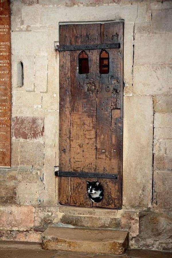 12. İngiltere'deki Exeter Katedrali'ndeki 14. yüzyıldan kalma bu kapının bilinen en eski kedi kapısı olduğu düşünülüyor.