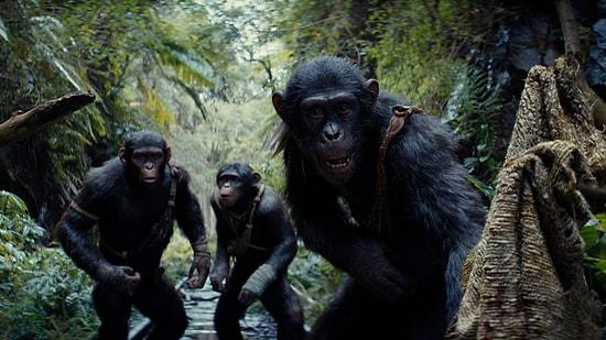 Imax Premiere of 'Planet of the Apes: New Kingdom' Trailer Receives Excellent Reviews