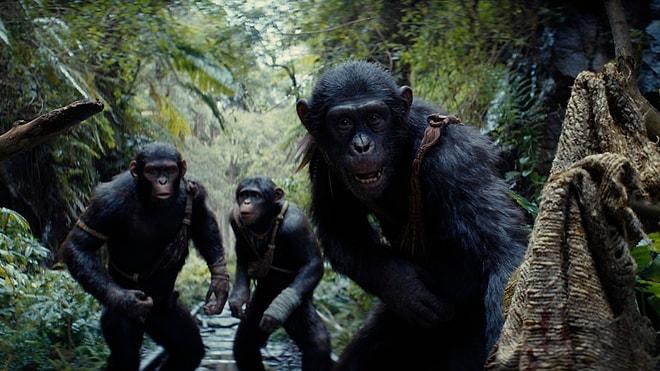Imax Premiere of 'Planet of the Apes: New Kingdom' Trailer Receives Excellent Reviews