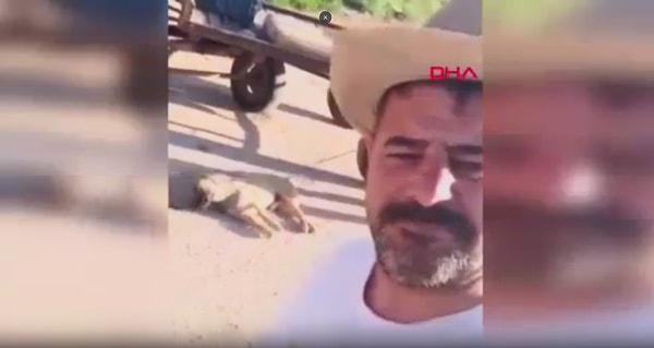 Gaziantep'in Oğuzeli ilçesinde öldürdüğü sokak köpeğini at arabasının arkasına bağlayarak çeken ve o anları kayda alan bir kişinin görüntüleri sosyal medyada tepki çekti.