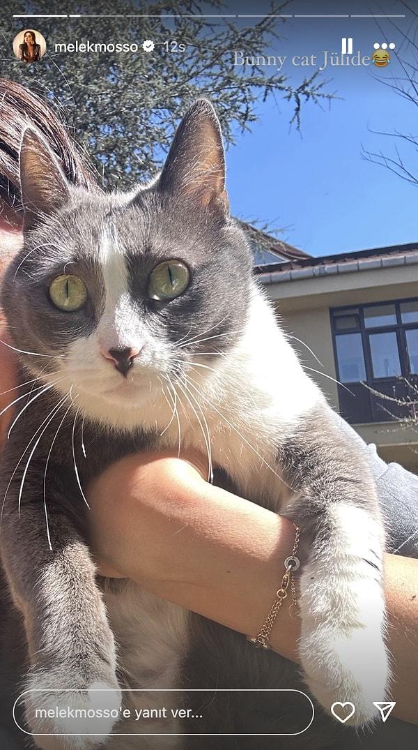 Melek Mosso, dünya güzeli kedisi Jülide'yi paylaştı.