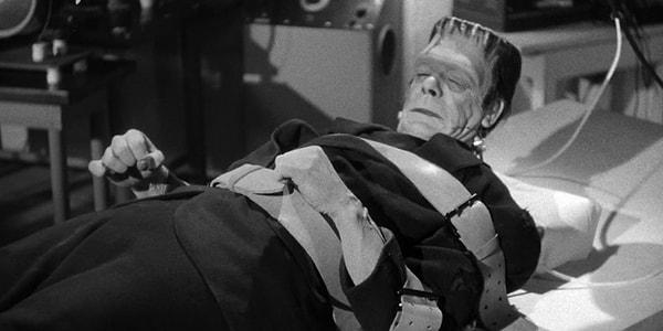 1930'ların Chicago'sunda Frankenstein, Dr. Euphronius'tan bir arkadaş yaratmasına yardım etmesini ister. Doktor, öldürülen bir kadına Gelin olarak hayat vererek romantizmi, polisin ilgisini ve radikal toplumsal değişimi ateşler.