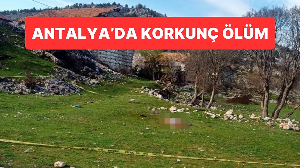 Mezarlık Ziyaretine Gitmişti: Yaşlı Kadın Köpeklerin Saldırısında Öldü