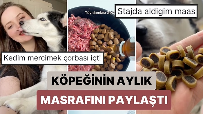 Köpeğinin Aylık Masrafını Paylaşan Kadının "Sizce Masraflı mı?" Sorusuna Gelen Cevaplar Üzdü