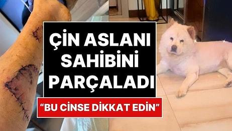 Adana'da Çin Aslanı Köpek Kendi Sahibini Parçaladı: 4 Senedir Besliyordu!