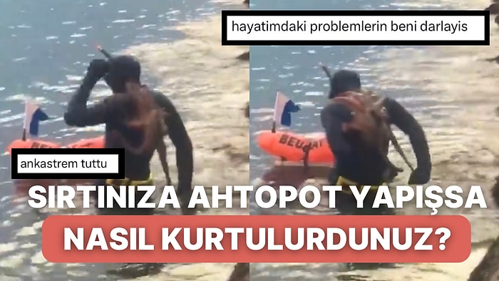 Bir Dalgıcın Sırtına Yapışan Ahtapotla İmtihanı Stres Seviyenizi Arttıracak