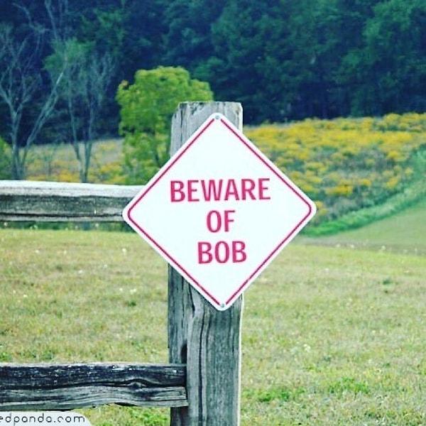 1. "Bob çıkabilir dikkat!"