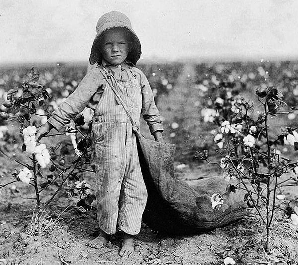 14. 5 yaşındaki Harold Walker günde 20 ila 25 kilo pamuk topluyor, Oklahoma, 1916.