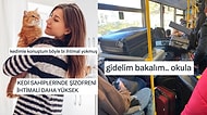 Kedileriyle Konuşanlardan Uzun Bayram Tatili Dönüşü Manzaralarına Son 24 Saatin Viral Tweetleri