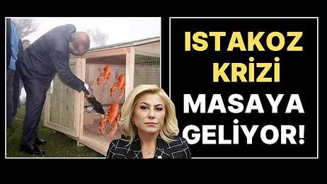 AK Parti'de 'Istakoz Krizi' Masaya Geliyor: Cumhurbaşkanı Erdoğan, Şatafat Uyarısı Yapacak!