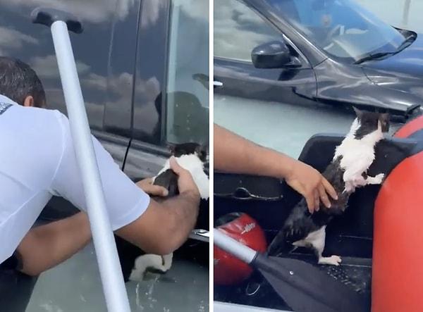 Sele kapılmamak için arabanın koluna tutunan kedi, ekipler tarafından kurtarıldı.