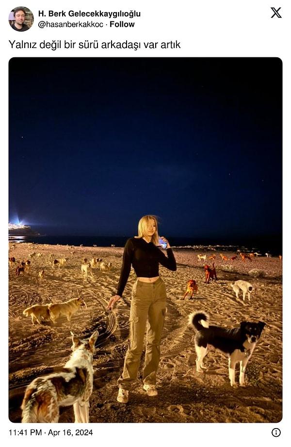 9. Bir kadın fotoğrafındaki köpeğin silinmesini isteyince ise ortaya oldukça yaratıcı sonuçlar çıktı!